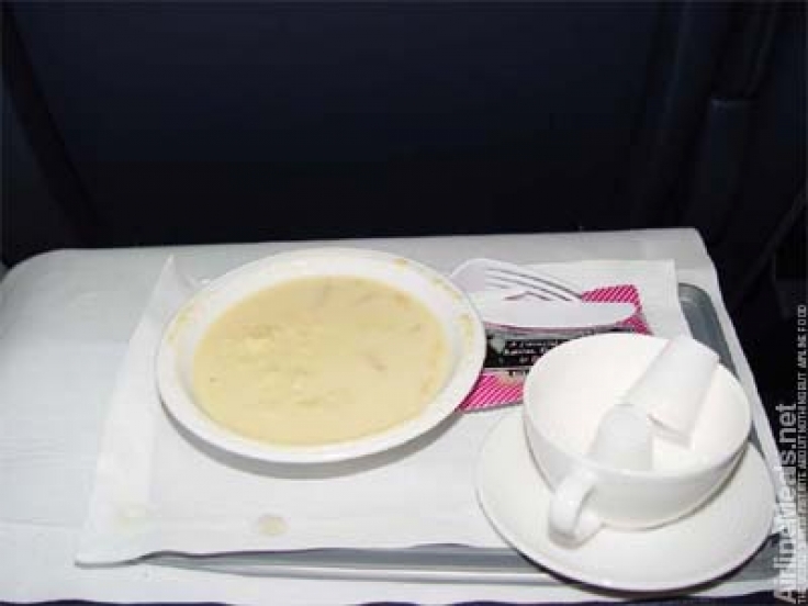 Concorde (by British Airways and Air France)