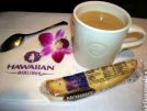 Hawaiian Airlines