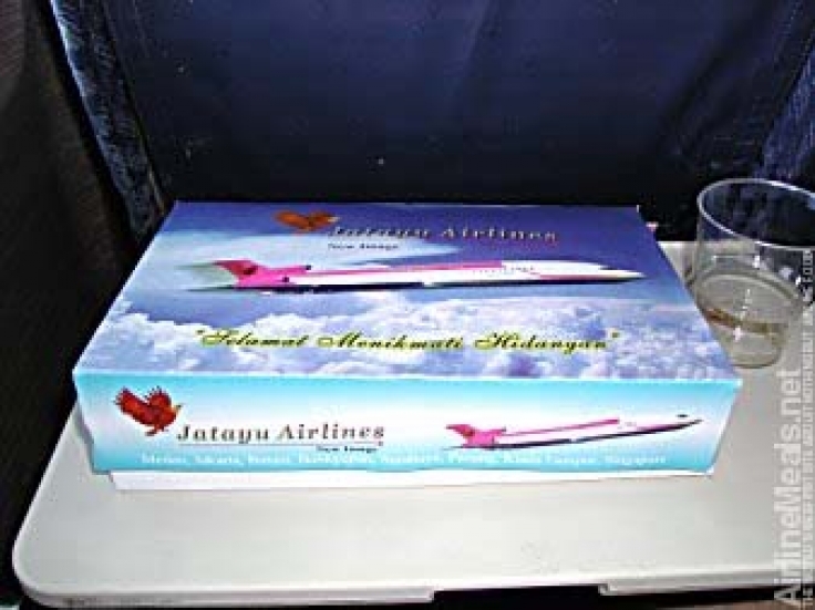 Jatayu Airlines