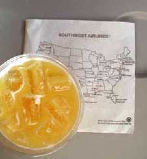 Southwest Airlines