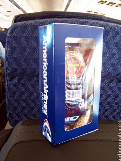 American Airlines