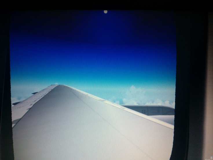Microsoft Flight Simulator