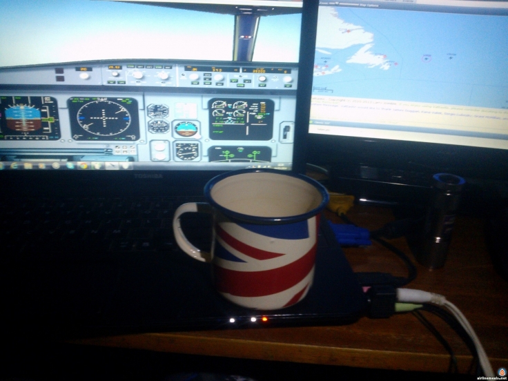 Microsoft Flight Simulator