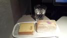 Emirates Air