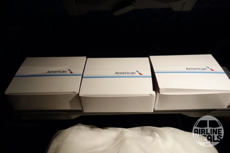 American Airlines