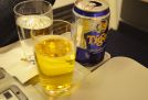 Malaysia Airlines