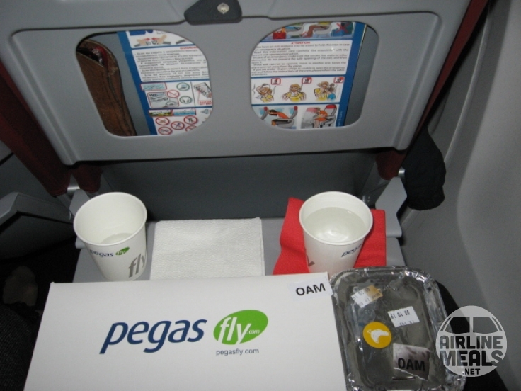 Pegas Fly