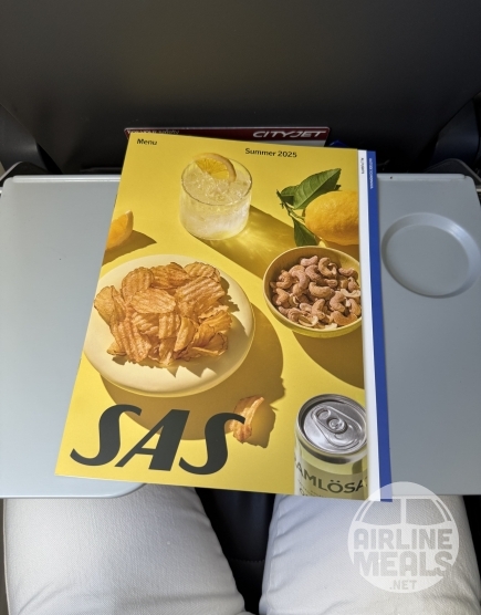 SAS Scandinavian Airlines