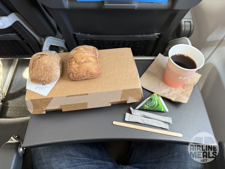 SAS Scandinavian Airlines