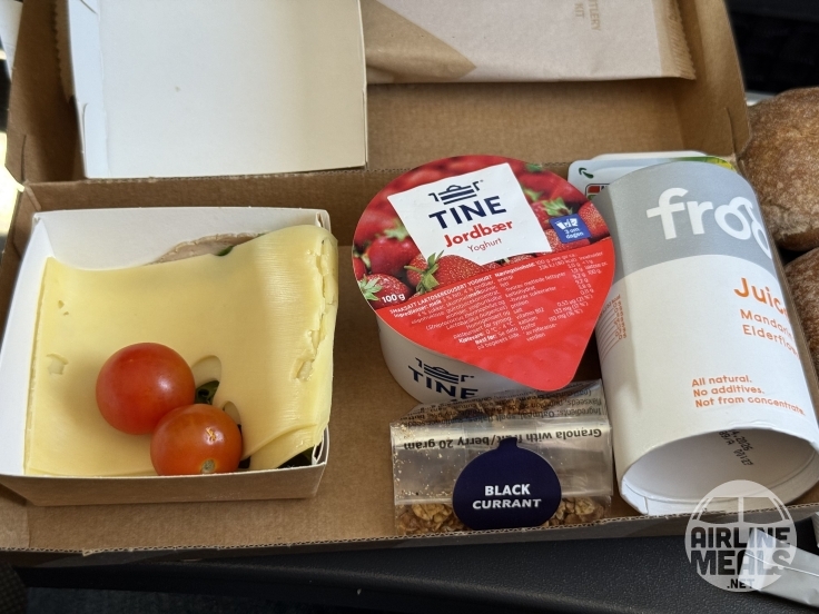 SAS Scandinavian Airlines