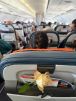 Aeroflot